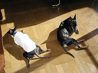 c0123149_132206.jpg