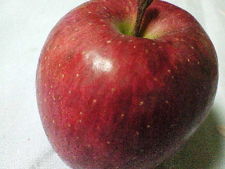 b0021251_9375044.jpg