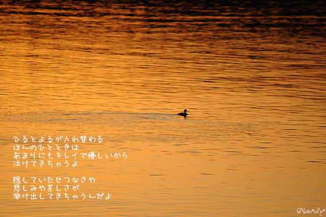 c0144353_1623145.jpg