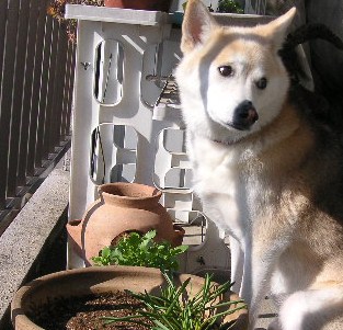 f0082855_04927.jpg