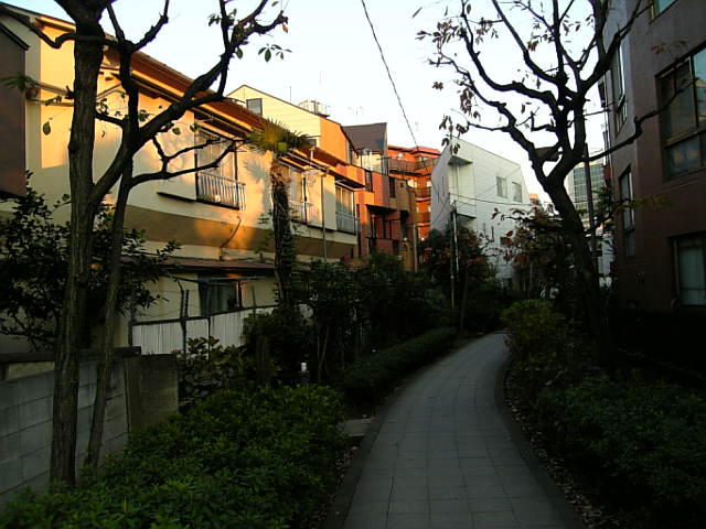 e0083359_23343839.jpg