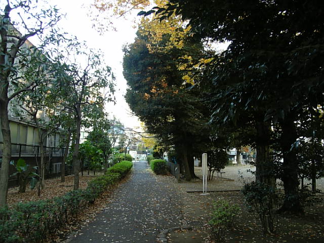 e0083359_23351428.jpg