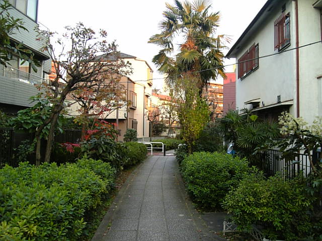 e0083359_23365360.jpg