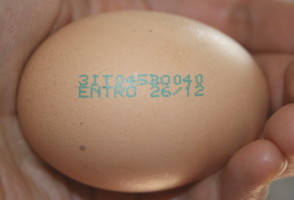 f0077159_5472471.jpg