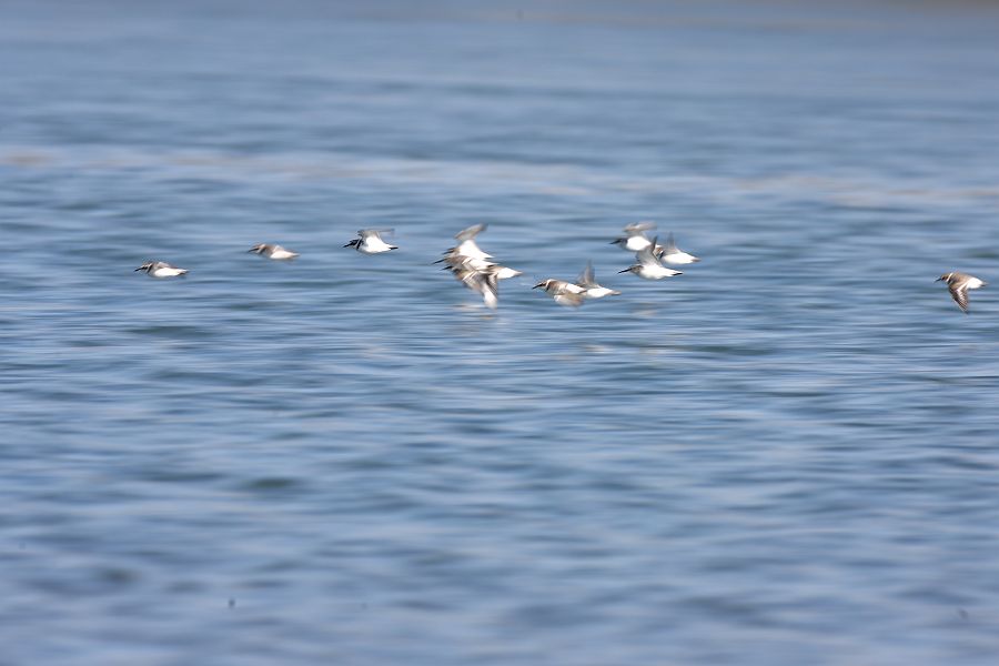 f0103860_208219.jpg