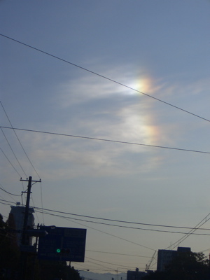 d0105063_19561145.jpg