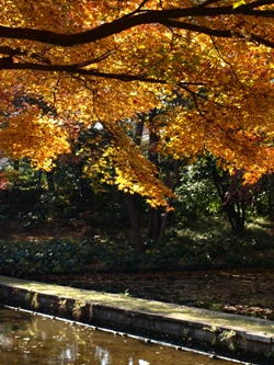 c0102268_1931985.jpg