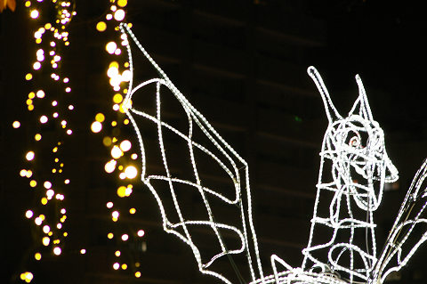 e0045768_2247322.jpg