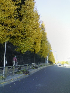 f0112873_23474158.jpg