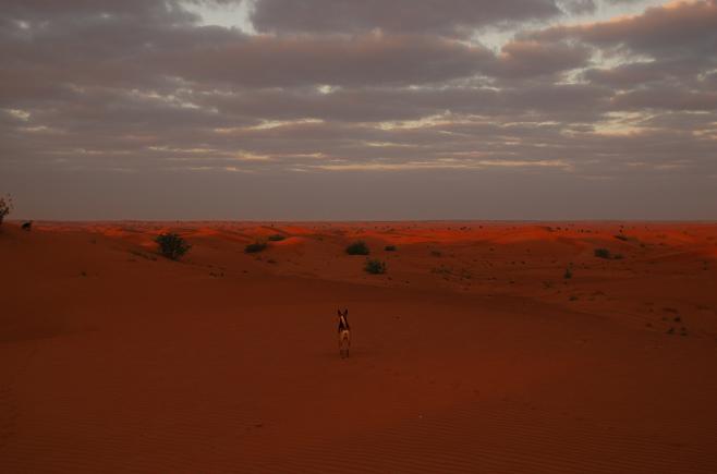 e0066474_205985.jpg