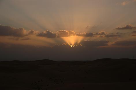 e0066474_21265.jpg
