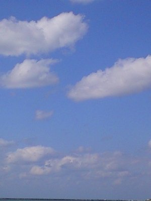 c0139375_18213779.jpg