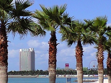 c0139375_182544.jpg