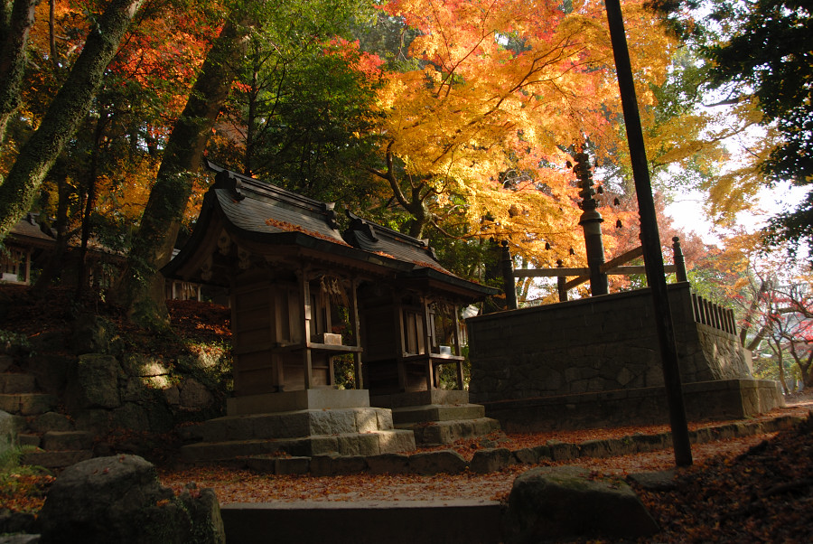 c0136480_024790.jpg