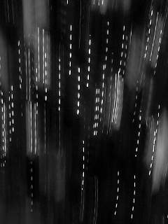 f0100480_20254354.jpg