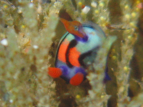 f0080385_163866.jpg