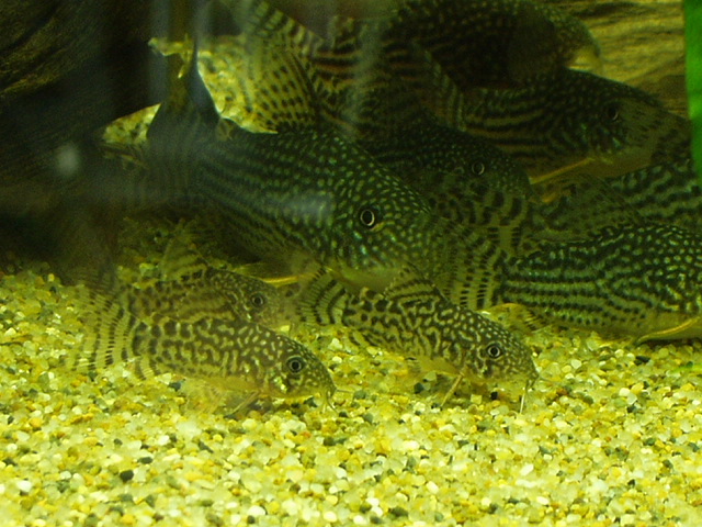 c0102086_0101859.jpg