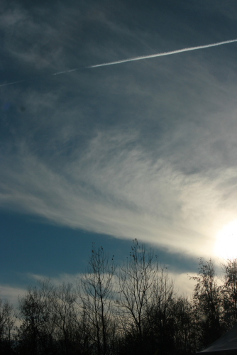 f0093592_12562548.jpg