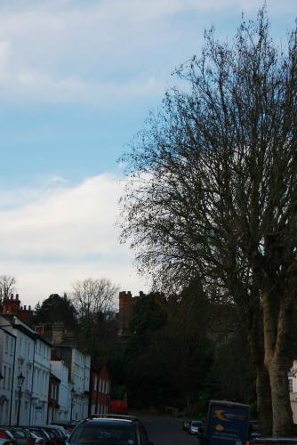 f0093592_1259544.jpg