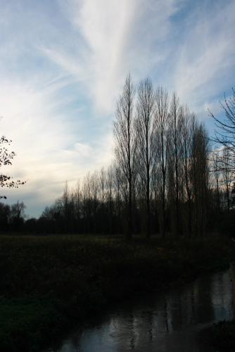 f0093592_1362711.jpg