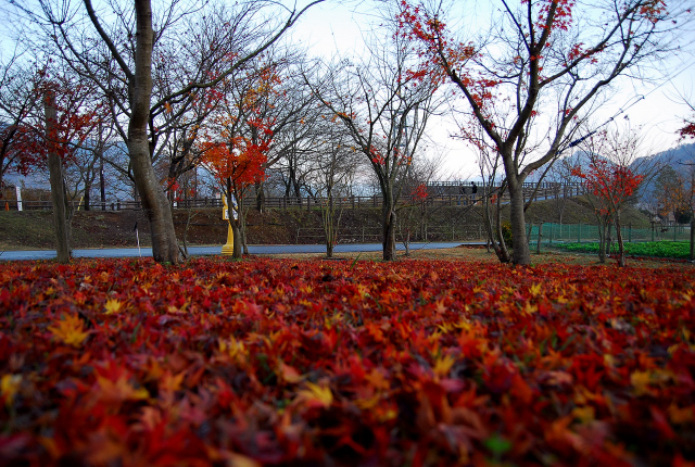 a0103596_2201221.jpg