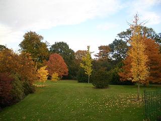 f0127098_10124373.jpg