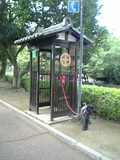 c0037701_1541950.jpg