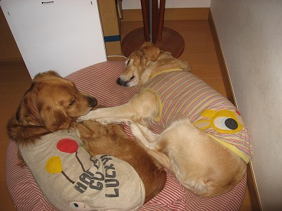 e0014801_2334464.jpg