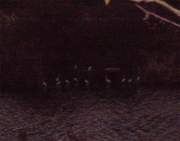 e0018604_15274651.jpg