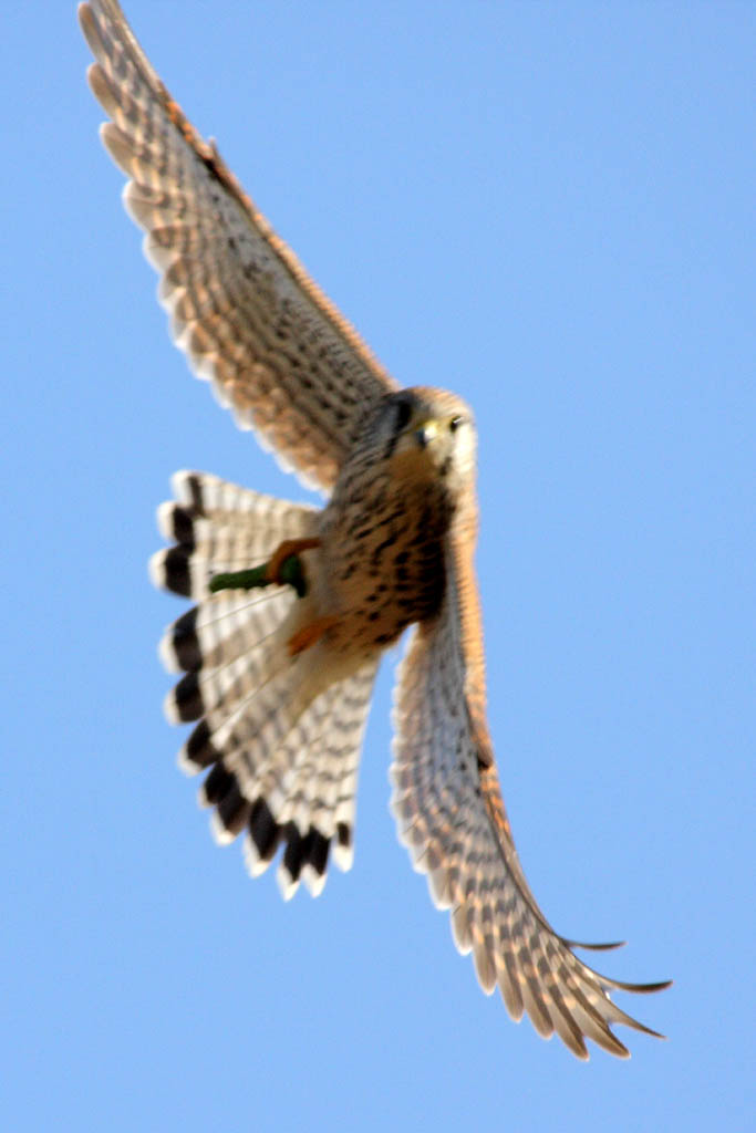 d0085715_09107.jpg