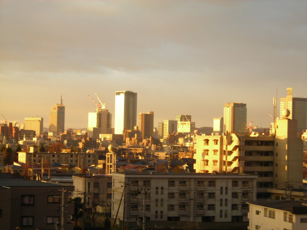 a0030217_795928.jpg