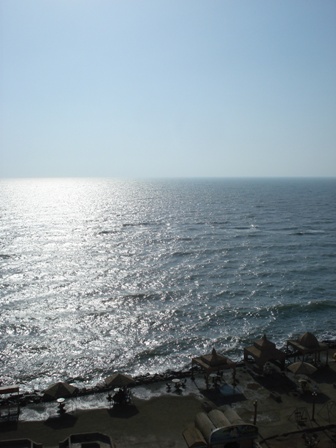 a0090924_18494652.jpg