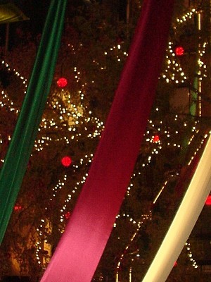 d0004627_2247341.jpg