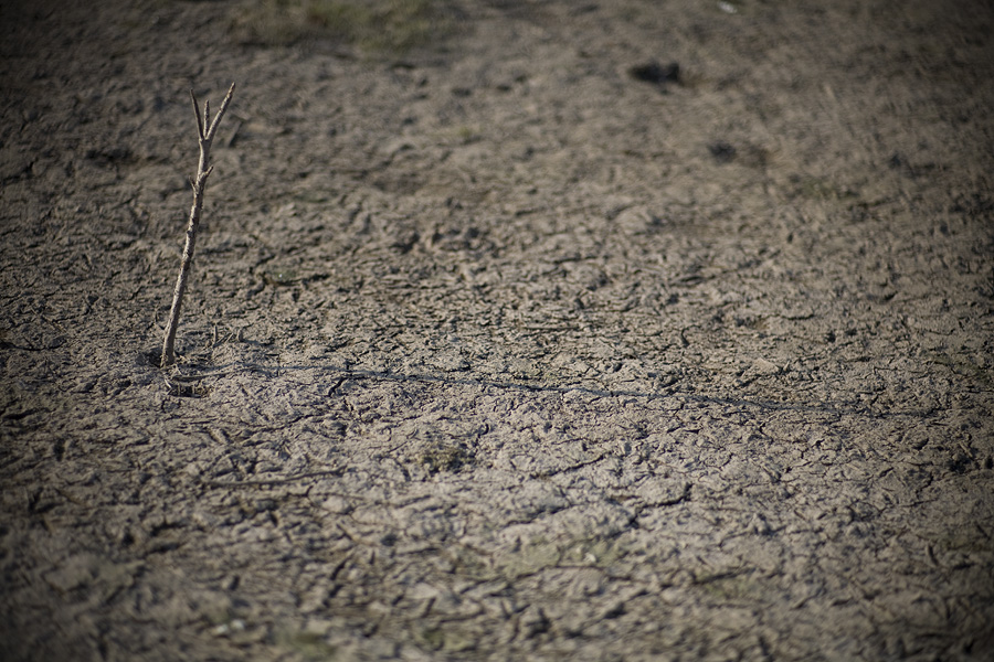 d0004832_10243444.jpg