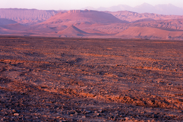 d0091834_11262077.jpg