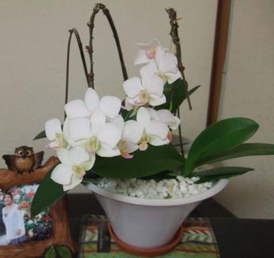 f0008935_1240081.jpg