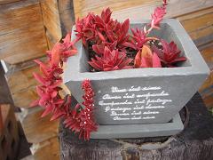 f0150936_1247418.jpg