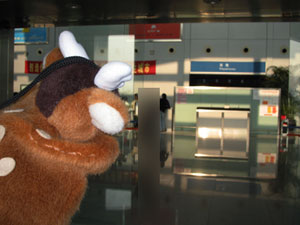 a0023740_19184360.jpg
