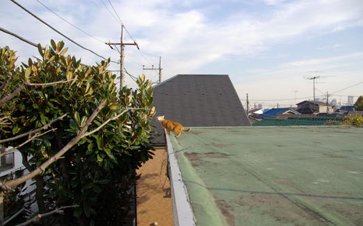 f0149442_6523550.jpg