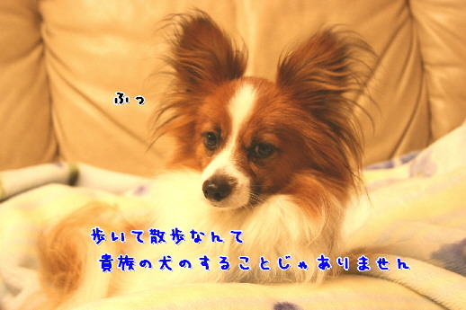 d0013149_1113040.jpg