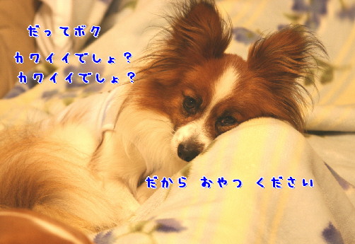 d0013149_1201459.jpg
