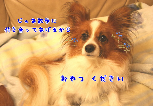 d0013149_128440.jpg