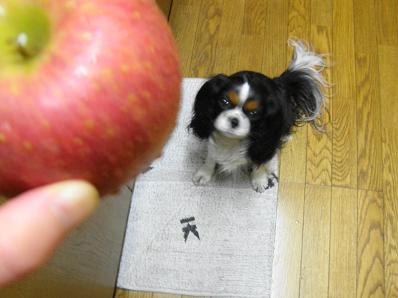 c0145250_12135643.jpg