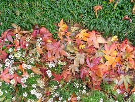c0145250_12335039.jpg