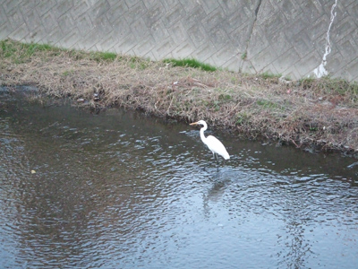 e0126054_1044415.jpg
