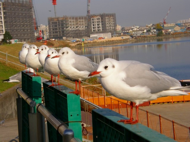 e0078069_071562.jpg