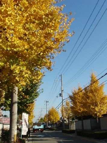 b0092475_2244912.jpg