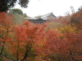 b0117276_22245041.jpg