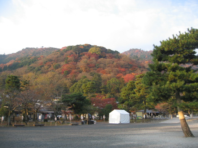 e0117976_21522642.jpg