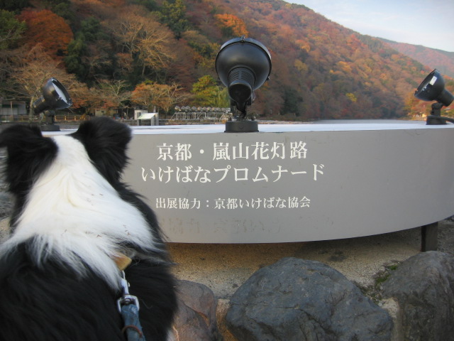 e0117976_2153563.jpg